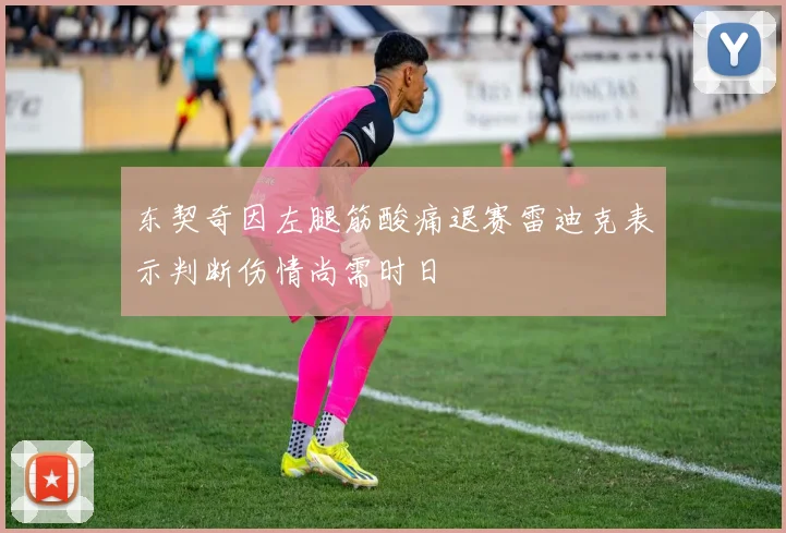 东契奇因左腿筋酸痛退赛雷迪克表示判断伤情尚需时日