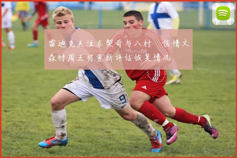 雷迪克关注东契奇与八村塁伤情文森特周五将重新评估恢复情况