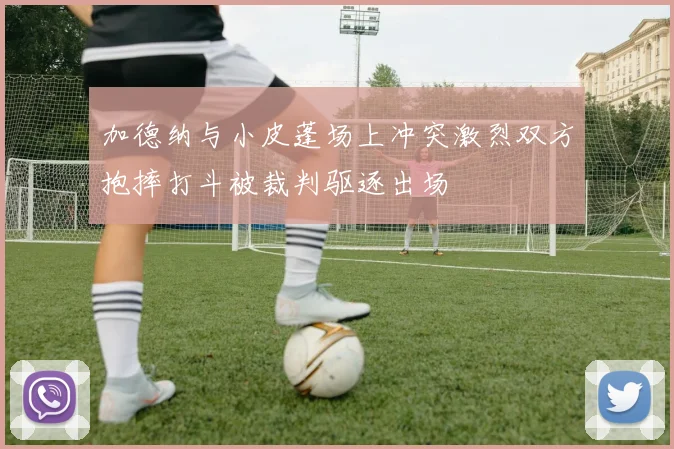 加德纳与小皮蓬场上冲突激烈双方抱摔打斗被裁判驱逐出场