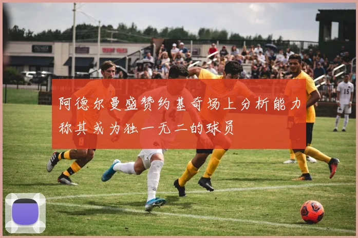 阿德尔曼盛赞约基奇场上分析能力称其或为独一无二的球员