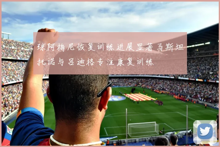 琼阿梅尼恢复训练进展显著马斯坦托诺与吕迪格专注康复训练